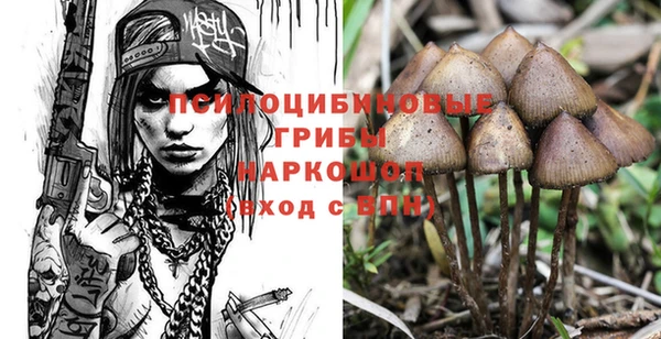 гидропоника Михайловск