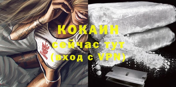 тгк Михайлов