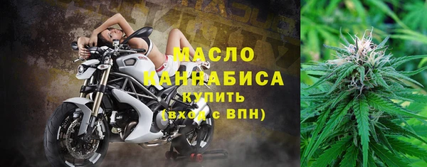 тгк Михайлов