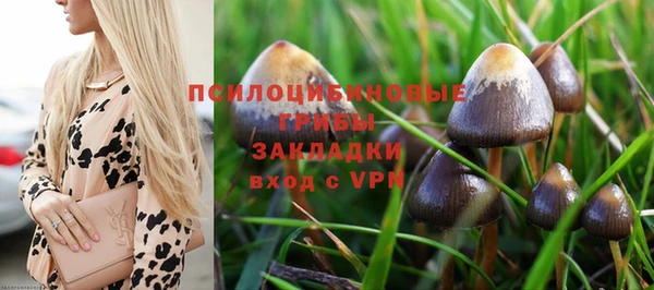 тгк Михайлов