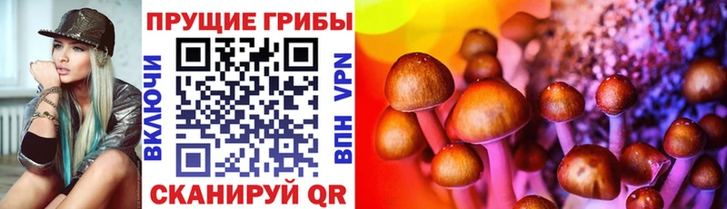 KRAKEN Феодосия Псилоцибиновые грибы мухоморы купить