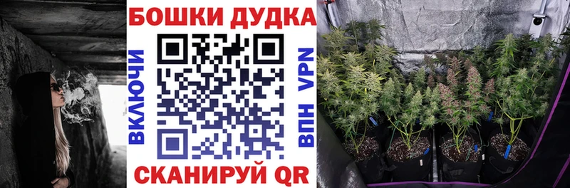 закладки  Феодосия  Бошки марихуана Amnesia 